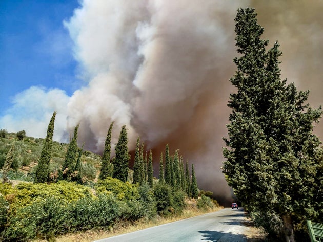 Πυρκαγιά στην Εύβοια.