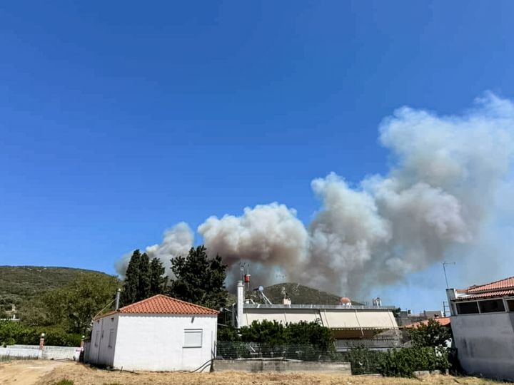 Πυρκαγιά στην Εύβοια.