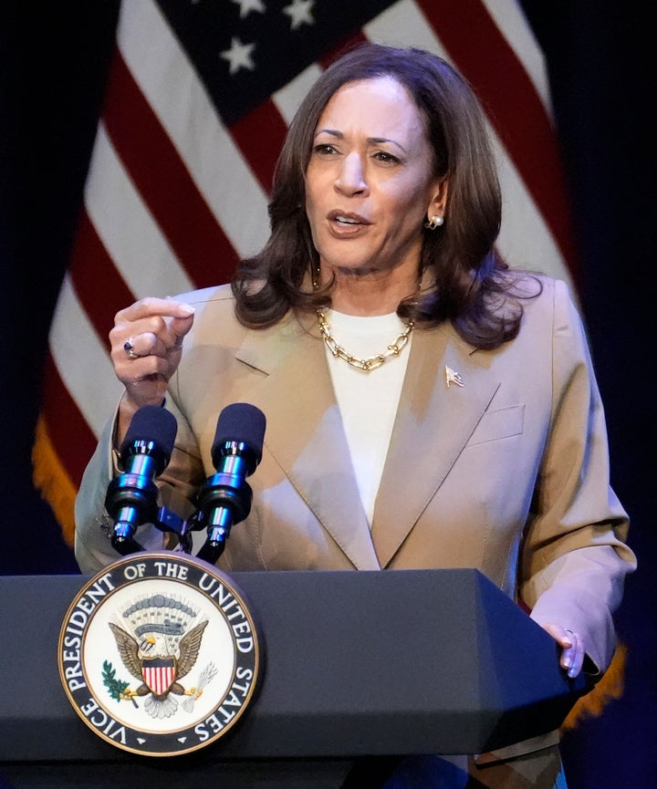 Kamala Harris speaks in Pittsfield, Massachusetts, on July 27. Musk willfully took Harris' comments about the climate crisis out of context for his tweet.