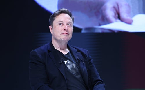 Elon Musk speaks during the Cannes Lions International Festival Of Creativity on June 19. In a post on X Saturday, he accused Kamala Harris of being an "extinctionist."