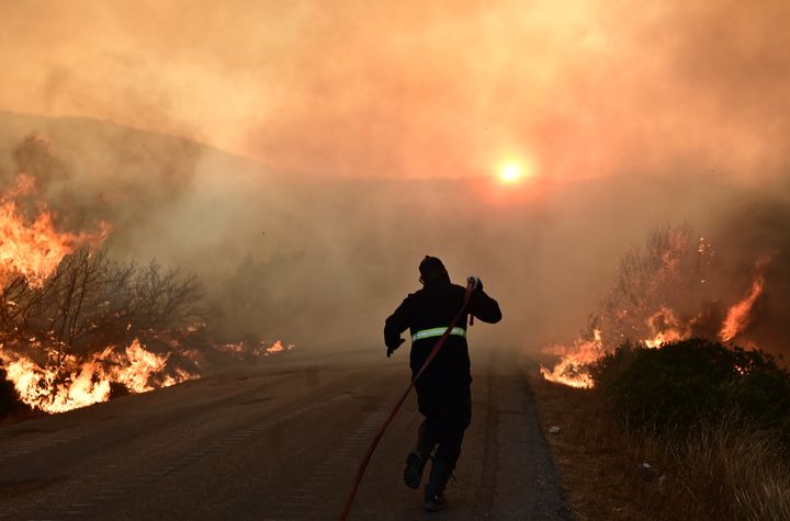 Μάχη με τις φλόγες για δεύτερη ημέρα σε σήμερα στην Εύβοια (30 Ιουλίου 2024)