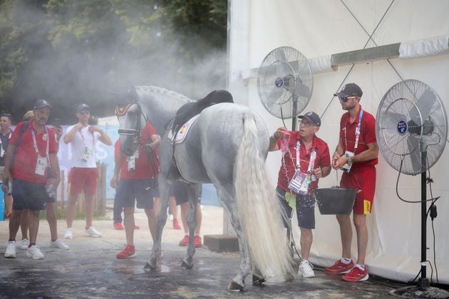 馬術の競技にアスリートと挑む馬には、ミストがかけられ、猛暑の中で温度調節がされた。