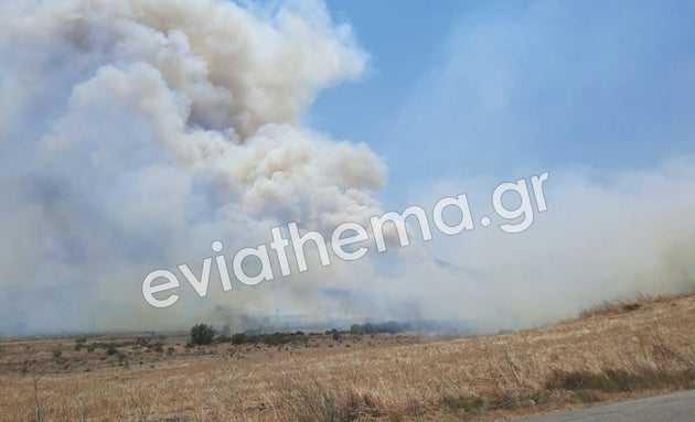 Φωτιά στον Πισσώνα Ευβοίας