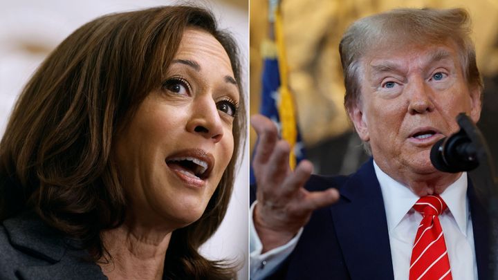 Earlier this week, former president Donald Trump said Vice President Kamala Harris had been “promoting” her Indian heritage and only “happened” to turn Black" recently for political convenience. The remarks irked other people of mixed race.