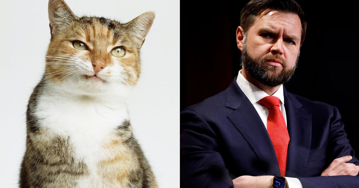 NextImg:FYI, JD Vance Isn't The First Man To Resent Cat Ladies — They've Always Been Politicized