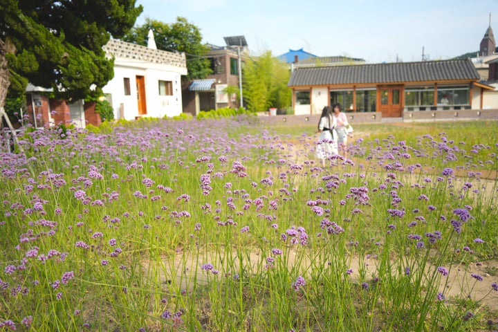 華城の前には、綺麗な花畑も