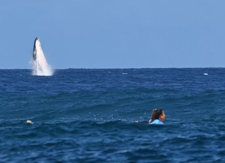 ブリサ・ヘネシー選手の横にクジラが見える（2024年8月5日）