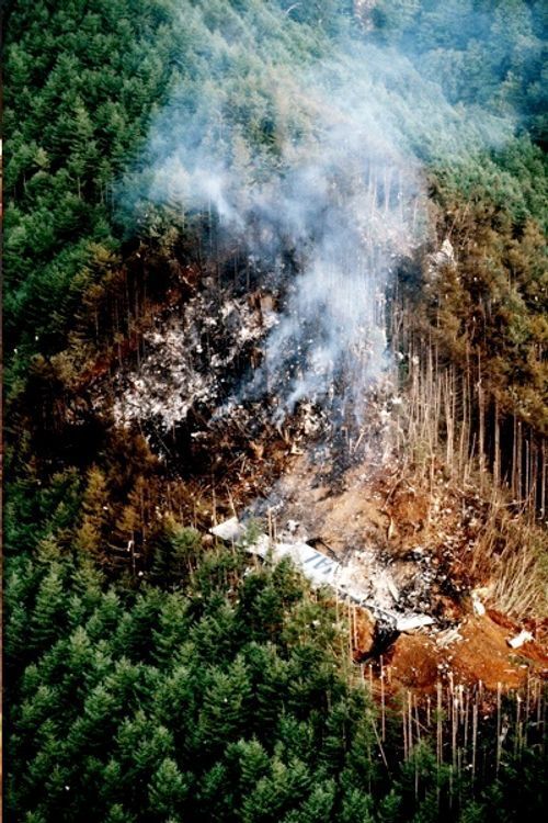 煙を上げる日航ジャンボ機の墜落事故現場（群馬・上野村の御巣鷹の尾根）［時事通信ヘリコプターより］＝1985年8月12日