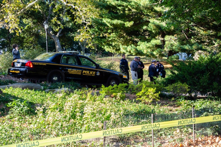 New York Police and New York State Environmental Conservation officers investigate the site where a bear cub was found dead under bushes in New York's Central Park in October 2014. 