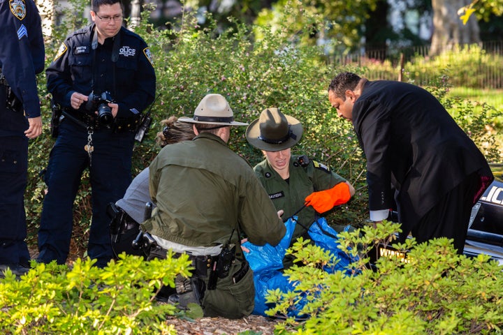 New York Police and New York State Environmental Conservation officers handle the body of bear cub that found dead under bushes in Central Park, Monday, Oct. 6, 2014, in New York. Independent presidential candidate Robert F. Kennedy Jr. once retrieved a bear that was killed by a motorist and left it in New York's Central Park with a bicycle on top, sparking a mystery that consumed the city a decade ago. Kennedy described the incident in a video posted to social media Sunday, Aug. 4, 2024, adding it will be included in a forthcoming New Yorker article that he expects to be damaging. (AP Photo/Stefan Jeremiah)