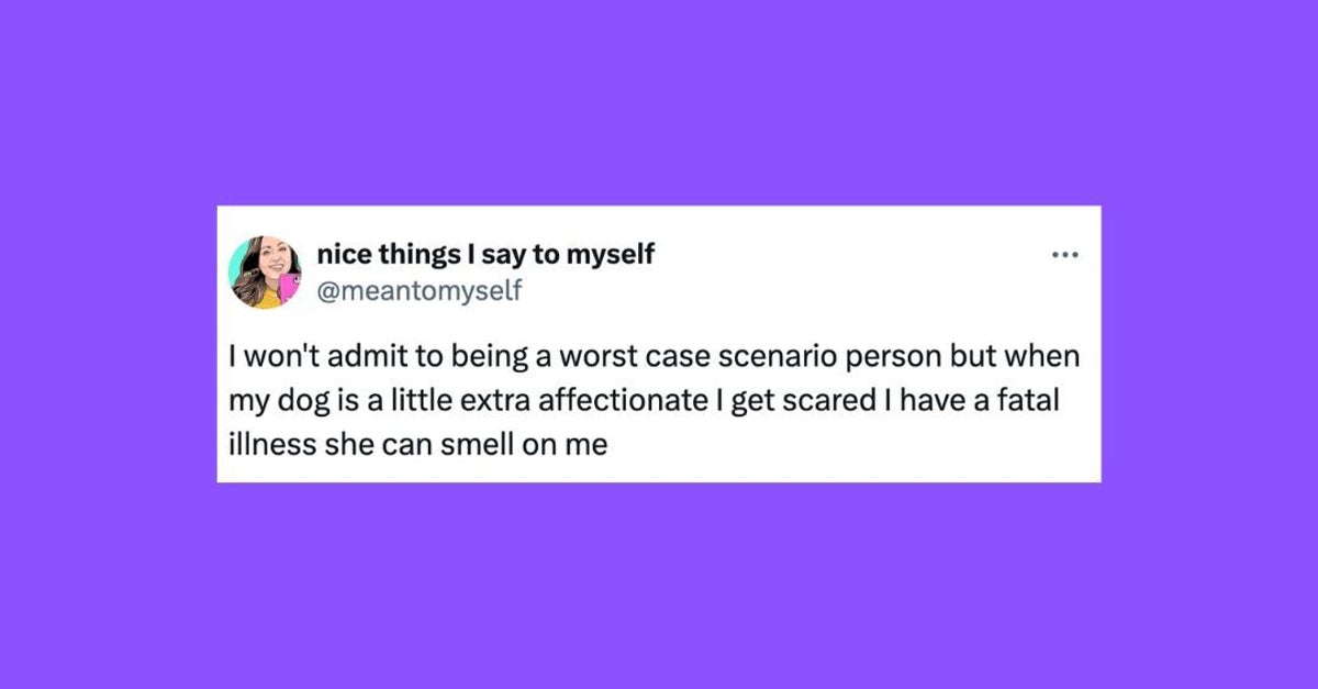 NextImg:26 Of The Funniest Tweets About Cats And Dogs This Week