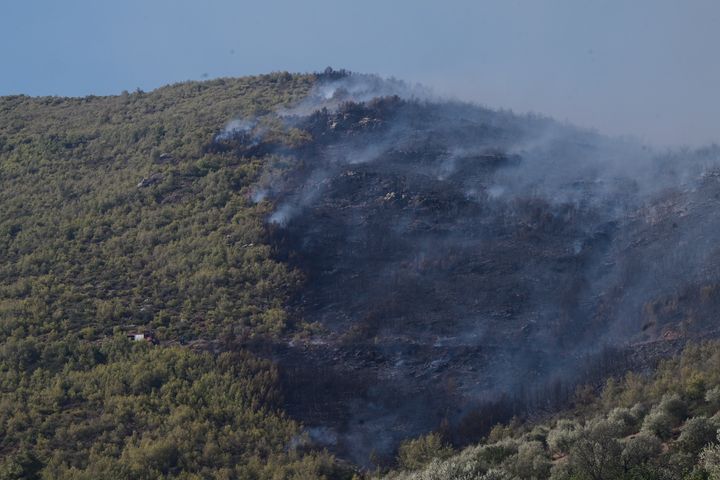 Πυρκαγιά στη Βορειοανατολική Αττική. Δευτέρα 12 Αυγούστου 2024