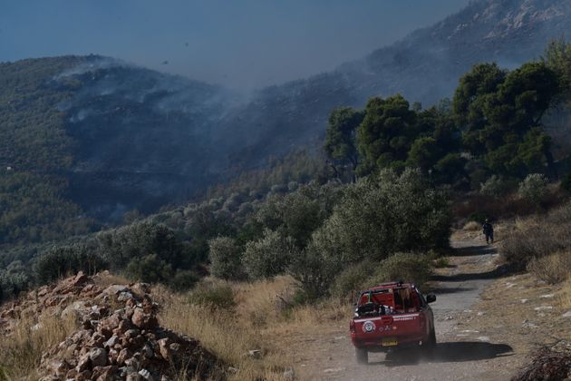 Πυρκαγιά στη Βορειοανατολική Αττική. Δευτέρα 12 Αυγούστου 2024