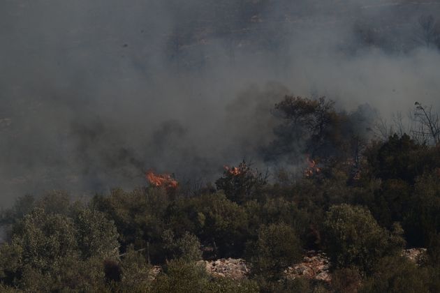 Πυρκαγιά στη Βορειοανατολική Αττική. Δευτέρα 12 Αυγούστου 2024