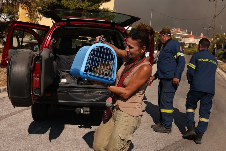 Μια γυναίκα απομακρύνει τη γάτα της κατά τη διάρκεια πυρκαγιάς στη Διώνη κοντά στην Αθήνα, Ελλάδα, στις 12 Αυγούστου 2024. Η μεγάλη πυρκαγιά που ξέσπασε την Κυριακή στη βορειοανατολική πόλη Βαρνάβας στην περιοχή της Αττικής στην Ελλάδα συνεχίζει να μαίνεται, αναγκάζοντας τους κατοίκους σχεδόν 10 χωριών να εκκενώσουν τα πολύ ξημερώματα της Δευτέρας, αφού πολλά σπίτια υπέστησαν ζημιές, όπως μετέδωσαν τα τοπικά μέσα ενημέρωσης. (Photo by Costas Baltas/Anadolu via Getty Images)