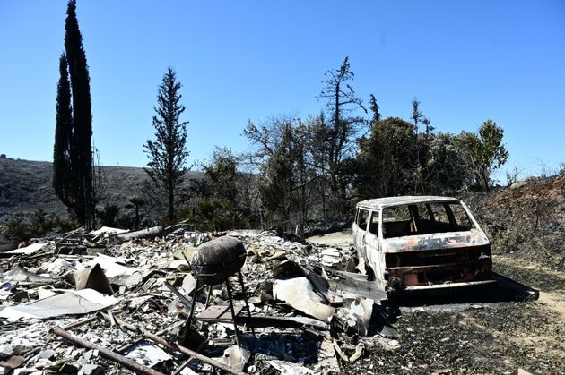 Πυρκαγιά στη Βορειοανατολική Αττική. Επόμενη ημέρα. Βαρνάβας. Τρίτη 13 Αυγούστου 2024