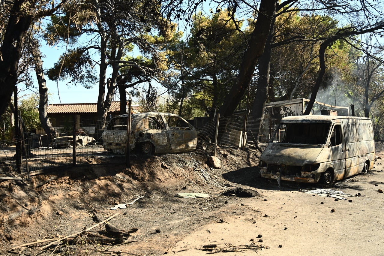 Πυρκαγιά στη Βορειοανατολική Αττική. Επόμενη ημέρα. Βαρνάβας. Τρίτη 13 Αυγούστου 2024