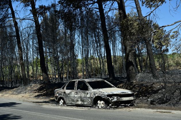 Πυρκαγιά στη Βορειοανατολική Αττική. Επόμενη ημέρα. Βαρνάβας. Τρίτη 13 Αυγούστου 2024