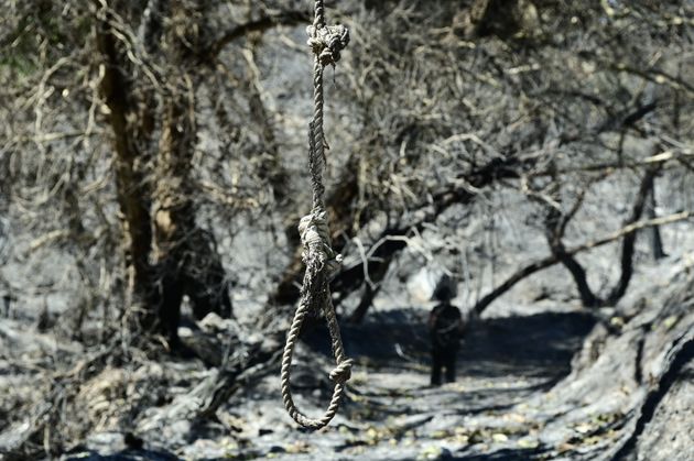 Πυρκαγιά στη Βορειοανατολική Αττική. Επόμενη ημέρα. Βαρνάβας. Τρίτη 13 Αυγούστου 2024