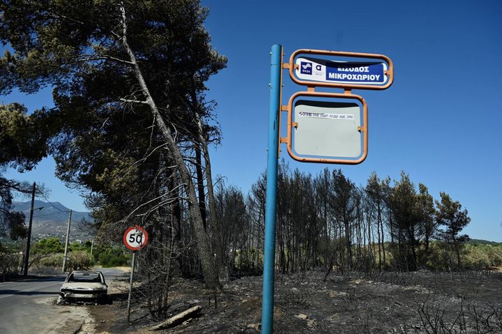 Πυρκαγιά στη Βορειοανατολική Αττική. Επόμενη ημέρα. Βαρνάβας. Τρίτη 13 Αυγούστου 2024