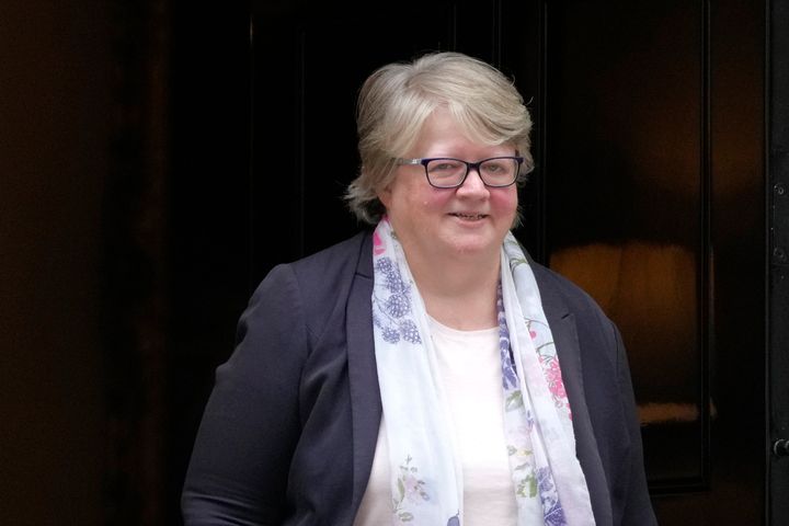 Therese Coffey was the deputy PM under Liz Truss. She lost her seat in the most recent general election.