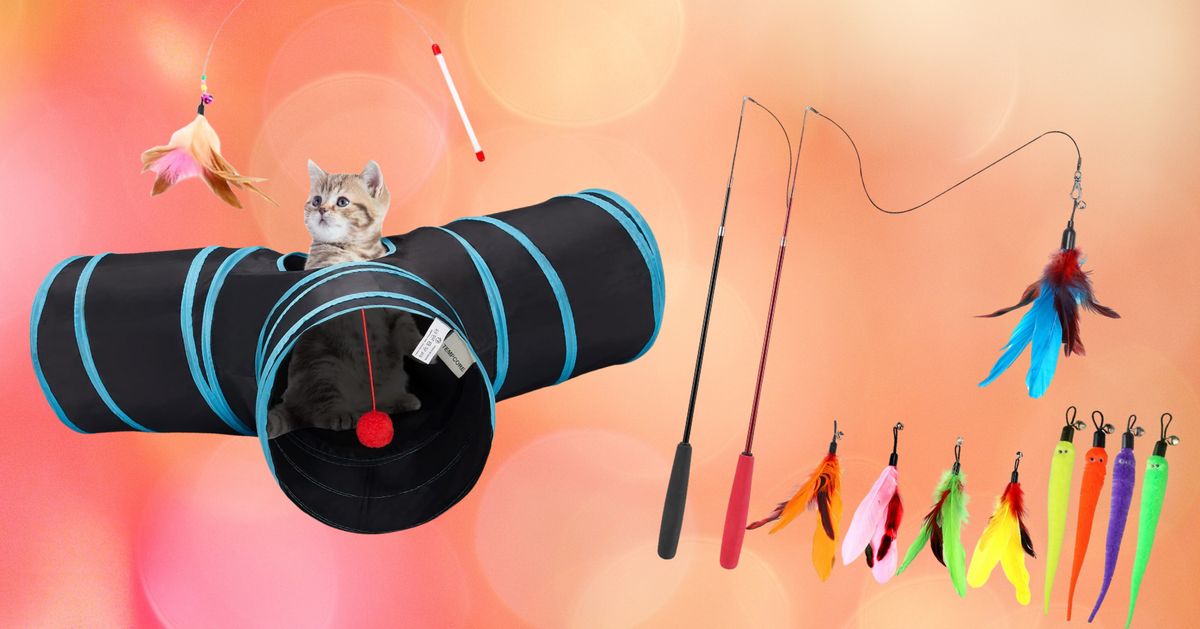 13 Popular Cat Toys (and Treats) To Gift Your Furry Feline This Holiday Season