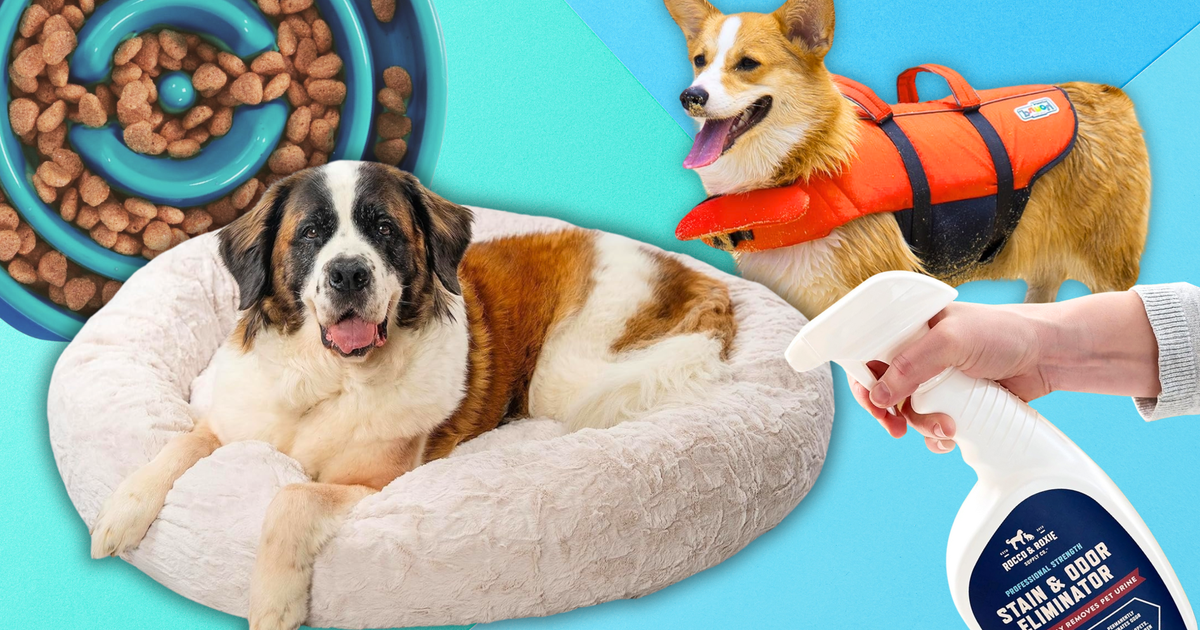 Gift These Highly-Rated Dog Products To Your Pup This Holiday Season