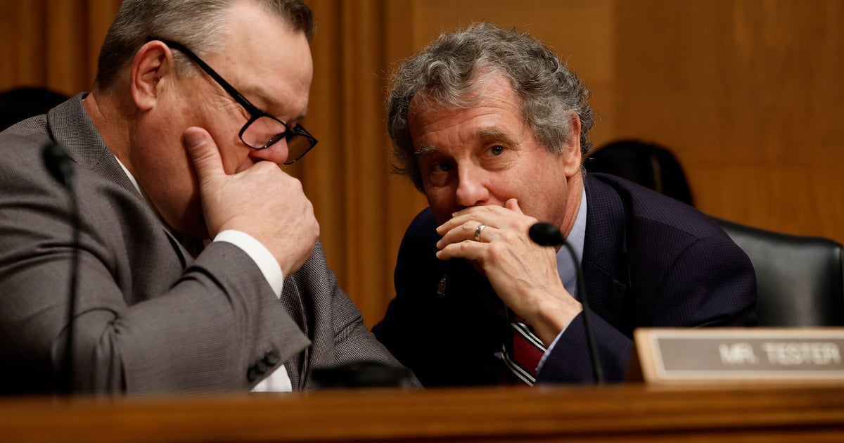 NextImg:Senate Dems Up For Reelection Are Doing Well. It Might Not Be Enough To Win A Majority.