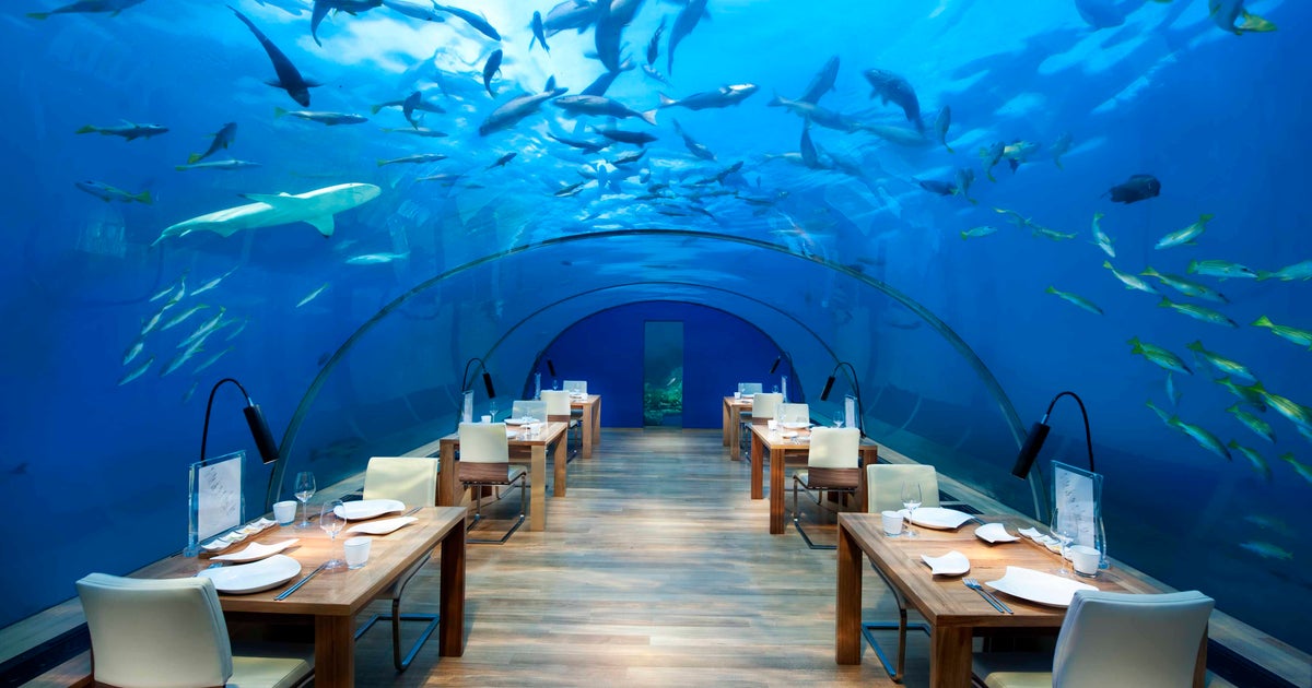 NextImg:The Most Unusual Places To Dine On All 7 Continents