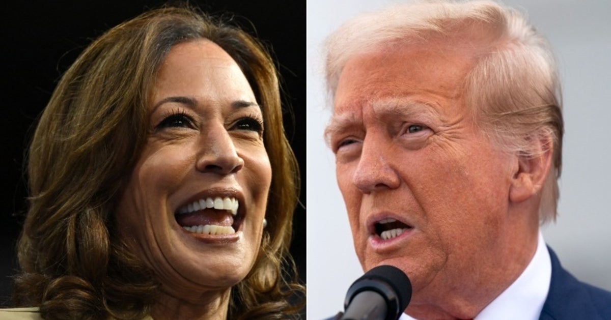 NextImg:GOP Pollster Spots Harris' 'Tremendous Advantage' Over Trump: 'Does He Want To Lose?'