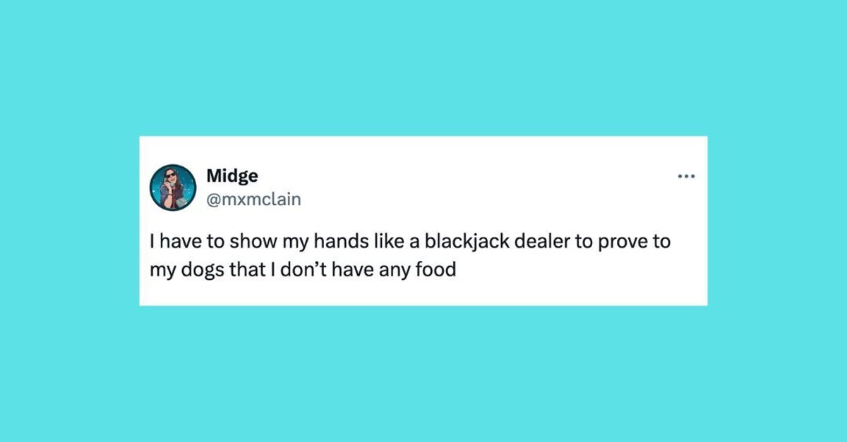 NextImg:27 Of The Funniest Tweets About Cats And Dogs This Week