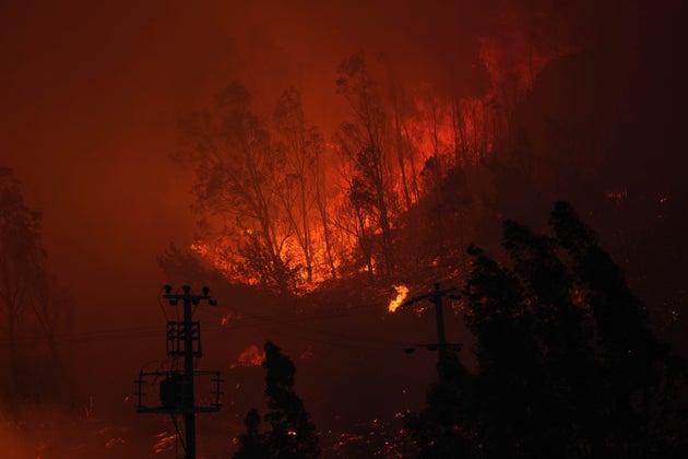 Εικόνες από τη φωτιά στη Σμύρνη, 16 Αυγούστου 2024 