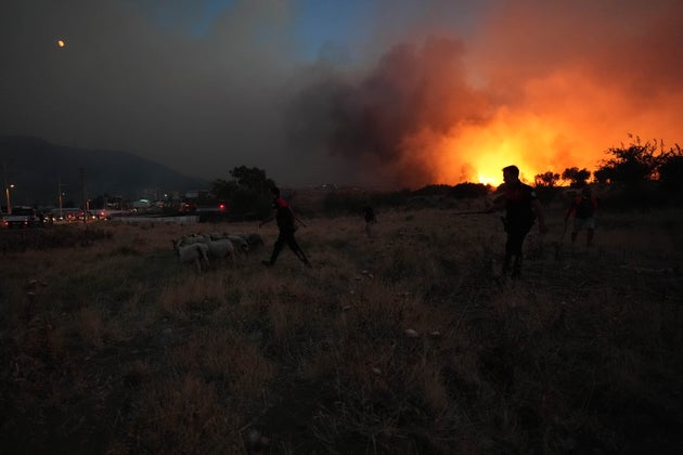 Εικόνες από τη φωτιά στη Σμύρνη, 16 Αυγούστου 2024 