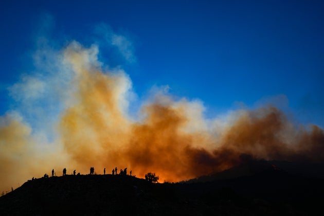 Εικόνες από τη φωτιά στη Σμύρνη, 16 Αυγούστου 2024 