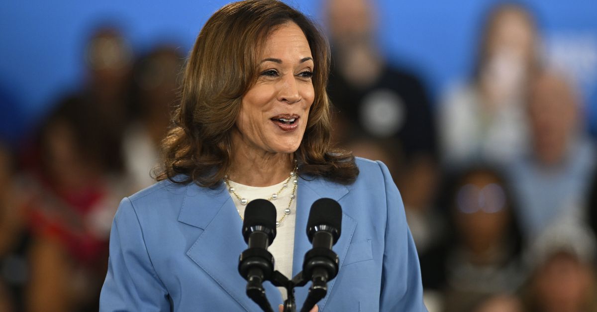 Republicans who are now critical of Kamala Harris have targeted price gouging in the past