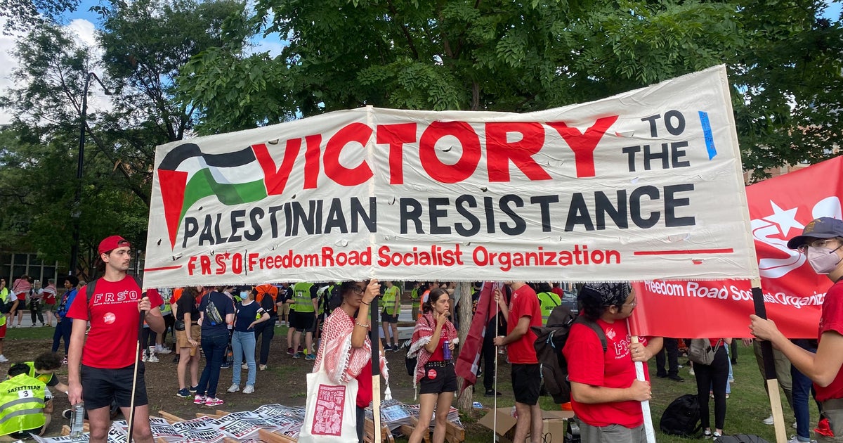 NextImg:Protesters Gather For March On The DNC
