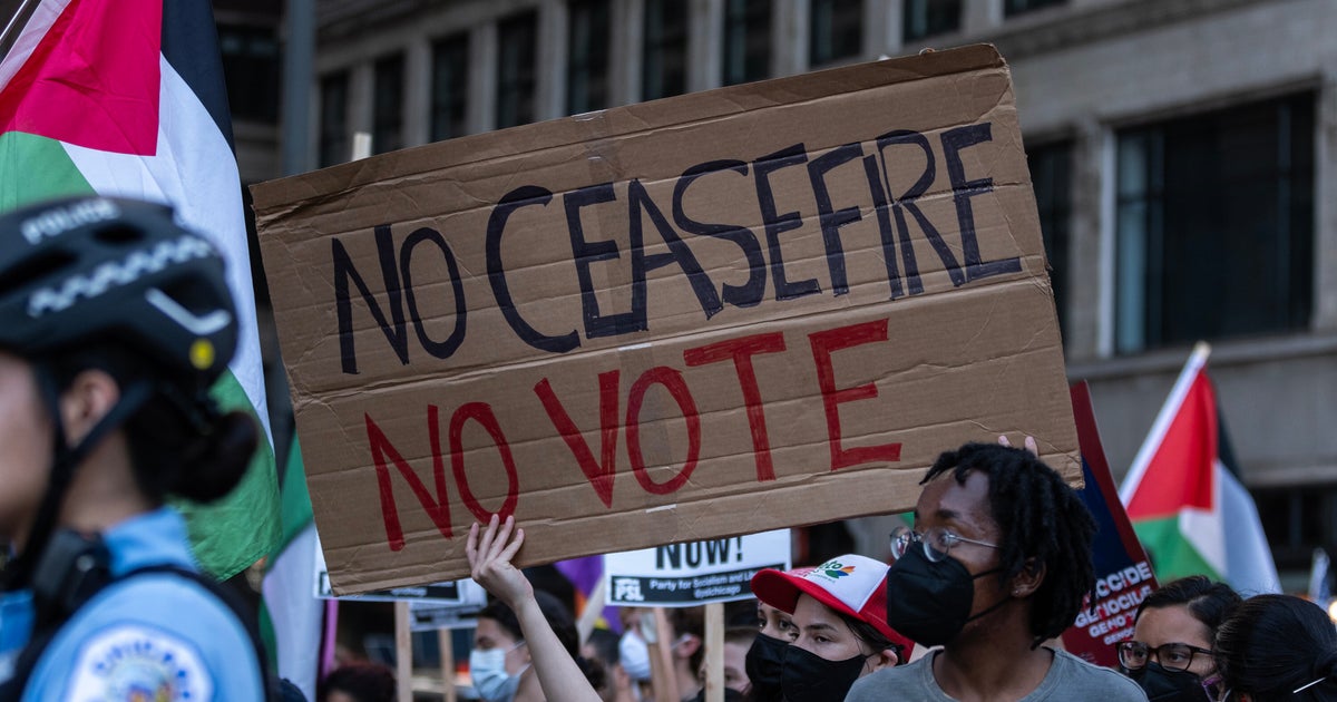 NextImg:Gaza Is A Major Issue For Democrats At The DNC. Here’s How Policy Critics Feel Now.
