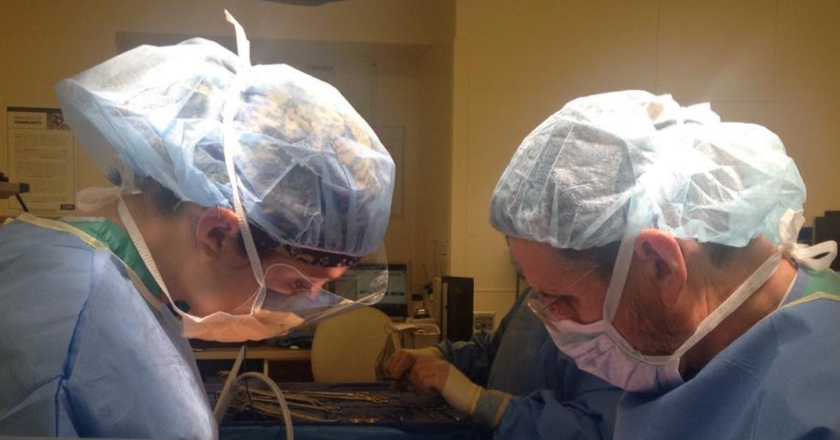 NextImg:I’m A Surgeon. I’m Also Child-Free — And 6 Words From A Colleague About My Life Left Me Stunned.