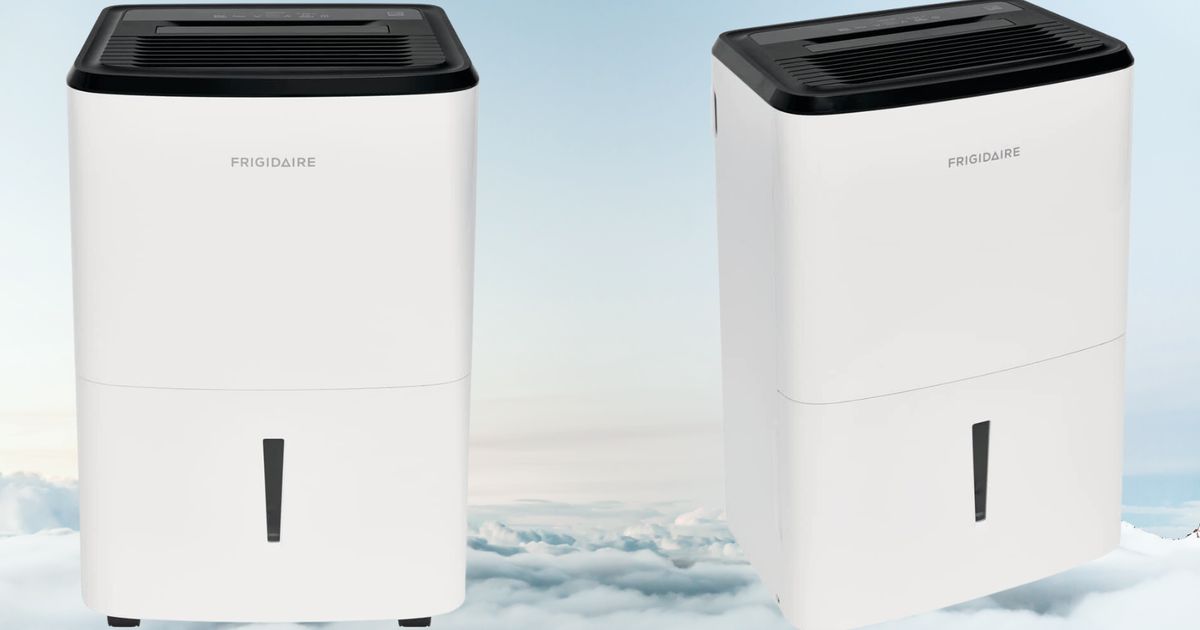 NextImg:Reviewers Say You ‘Can’t Beat’ This Dehumidifier