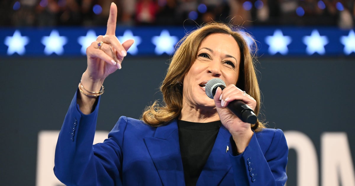NextImg:From Rally In Milwaukee, Harris Accepts Ceremonial Democratic Nomination