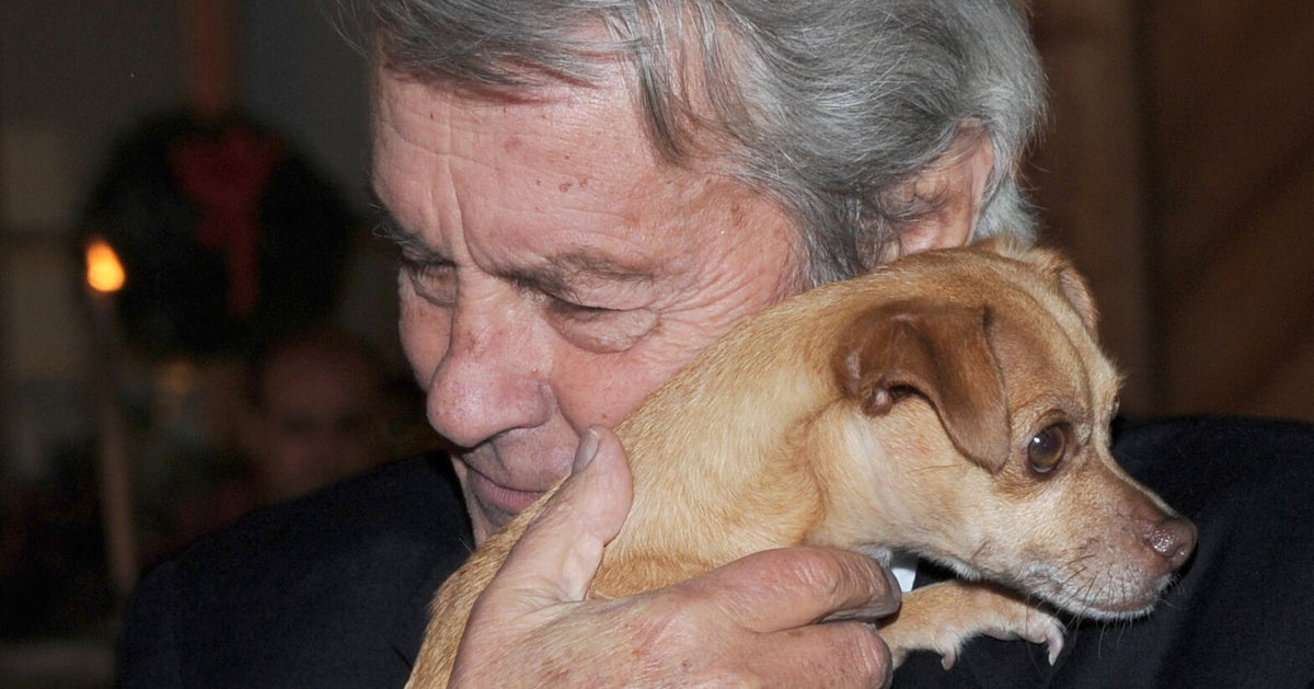 NextImg:Alain Delon’s Dying Wish — To Have His Dog Killed And Buried With Him — Will Not Happen