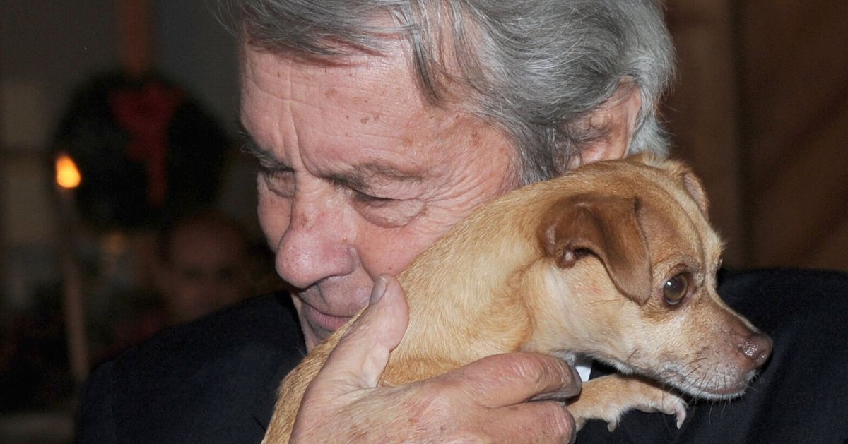 Alain Delon’s Family Won’t Kill And Bury His Dog With Him