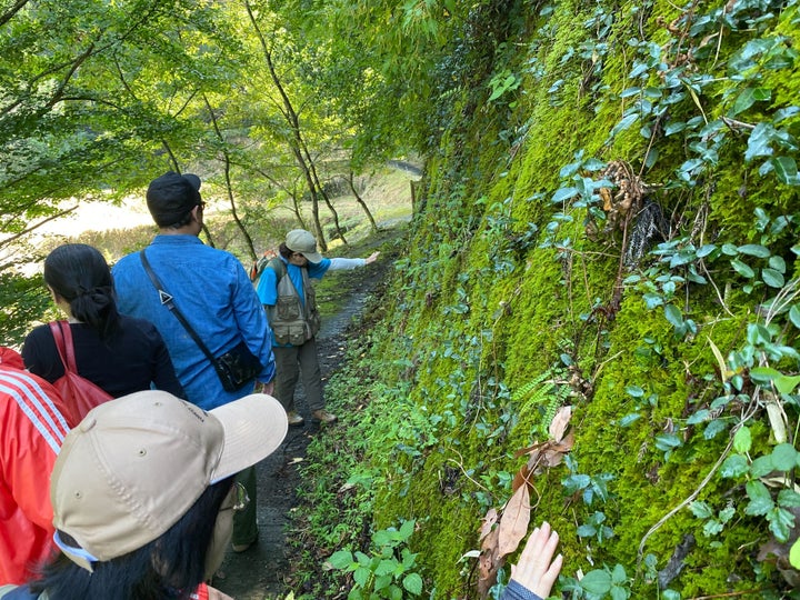 苔も触ってみる＝福岡県うきは市