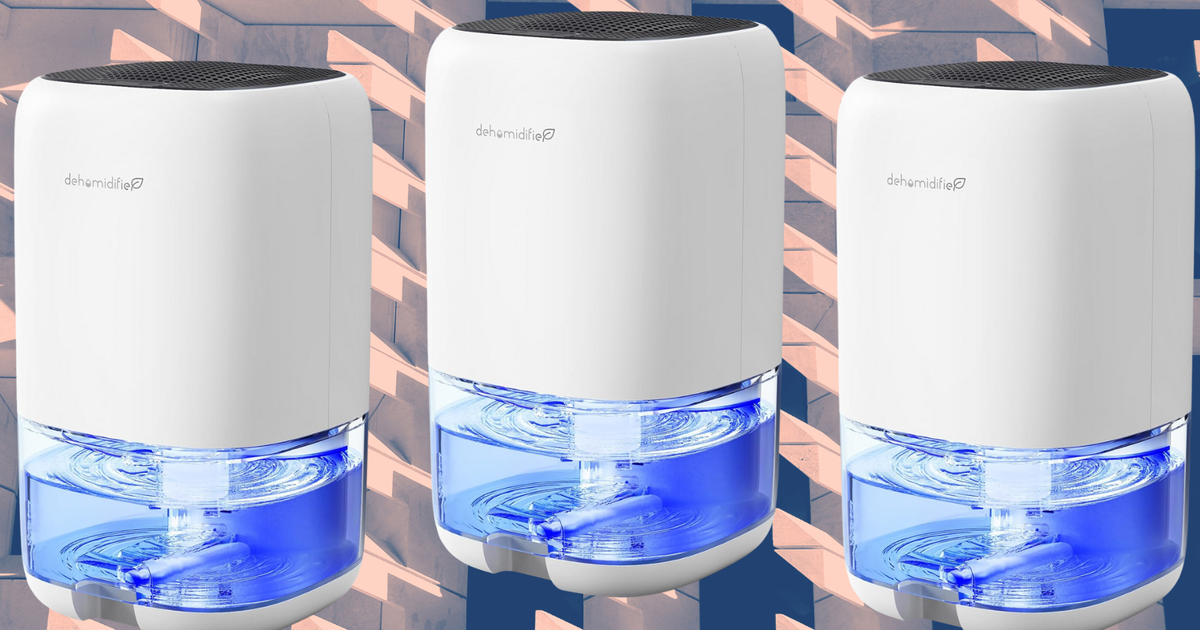 Snag A ‘Powerful’ Dehumidifier For Under $40