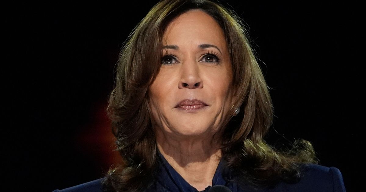 Kamala Harris Lays Out What’s At Stake In 2024 Race