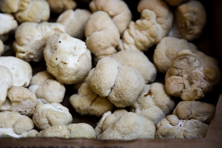 Extract from the lion's mane mushroom, pictured here, is said to have anti-inflammatory properties.