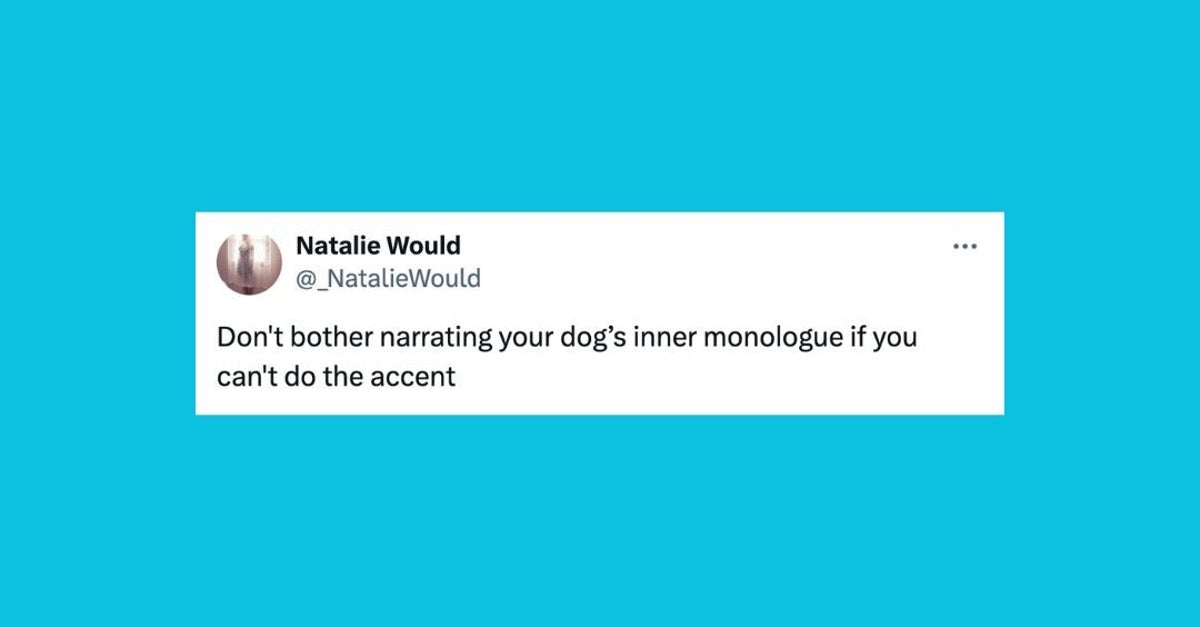 22 Of The Funniest Tweets About Cats And Dogs This Week (Aug. 17-23)