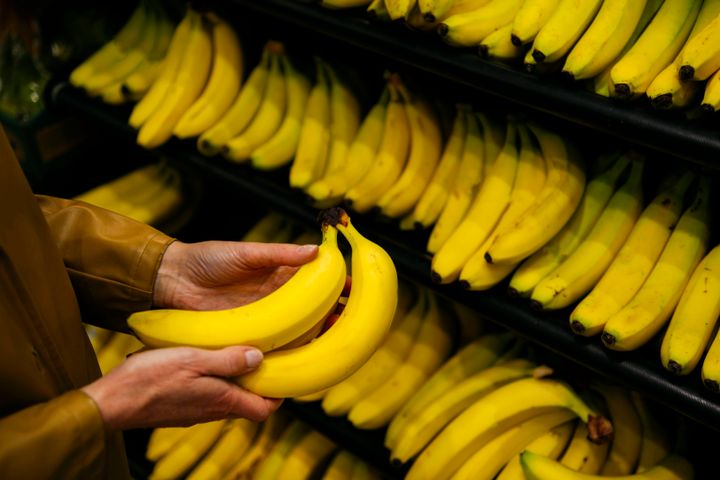 Η ασθένεια «Fusarium wilt of banana» εμποδίζει τη ροή των θρεπτικών συστατικών στο εσωτερικό του καρπού και τον κάνει να μαραίνεται.