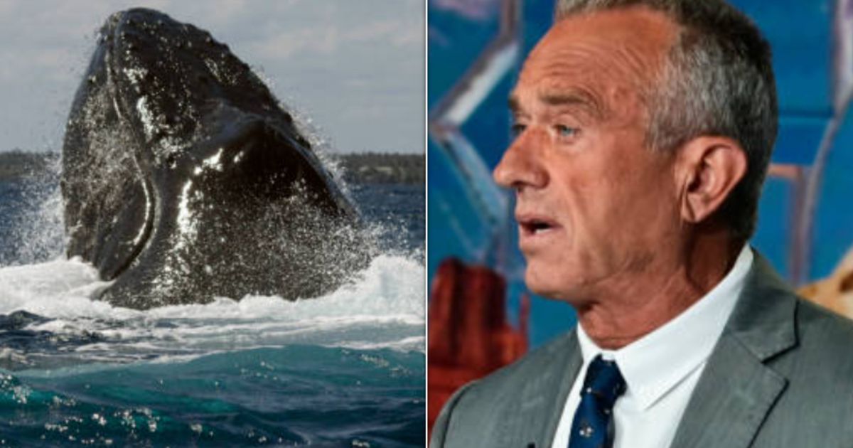 La hija de Robert Kennedy Jr. recuerda su repugnante truco con una ballena en una nueva entrevista