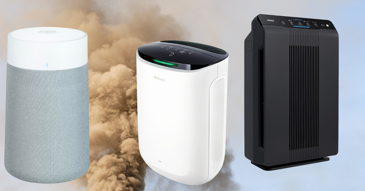 NextImg:People With Asthma And Allergies Share The Air Purifiers That 'Actually Make A Difference'